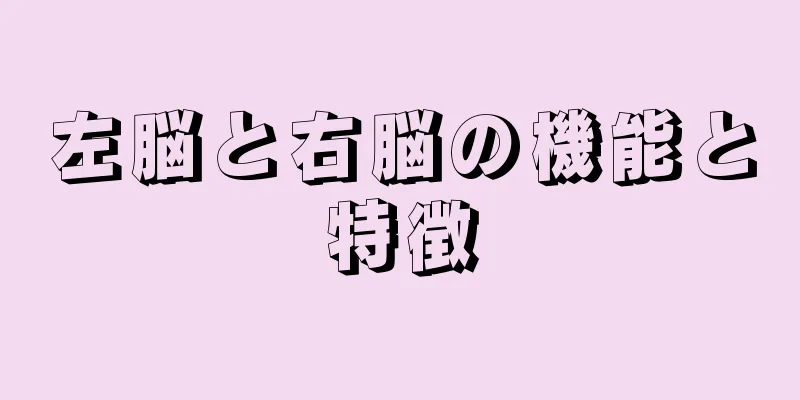 左脳と右脳の機能と特徴