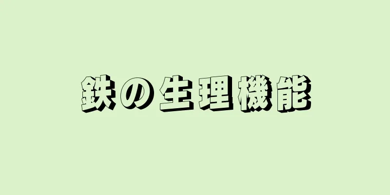 鉄の生理機能