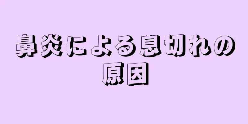 鼻炎による息切れの原因