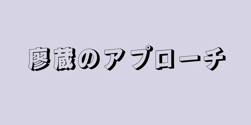 廖蔵のアプローチ