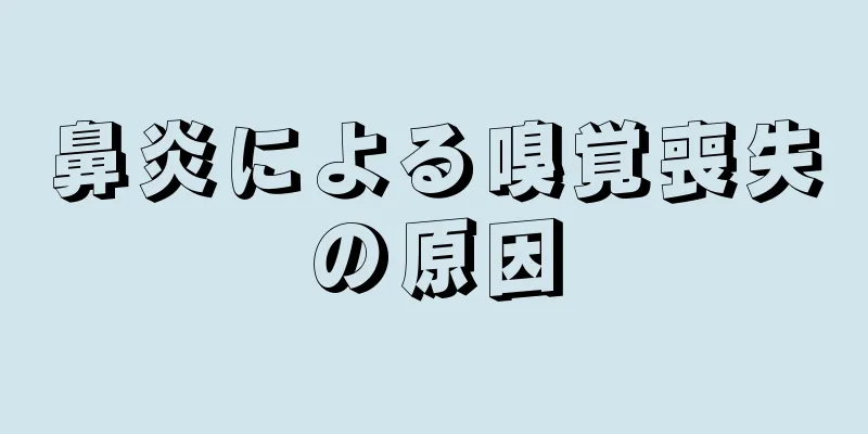 鼻炎による嗅覚喪失の原因