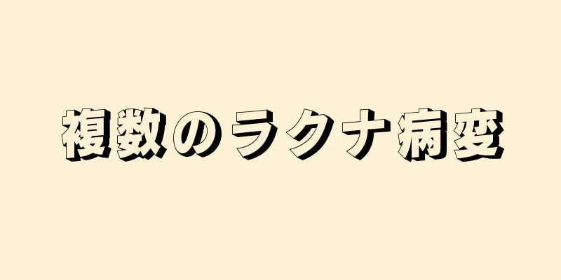 複数のラクナ病変