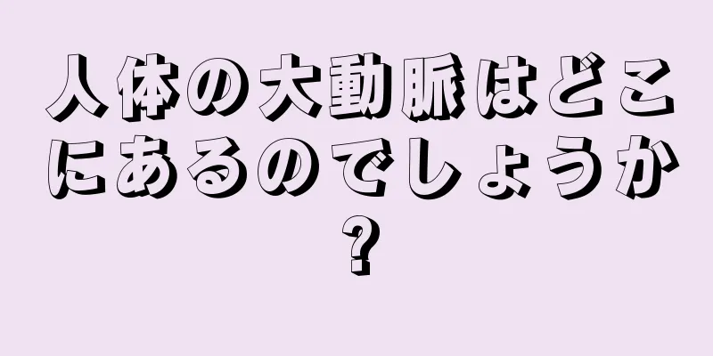 人体の大動脈はどこにあるのでしょうか?