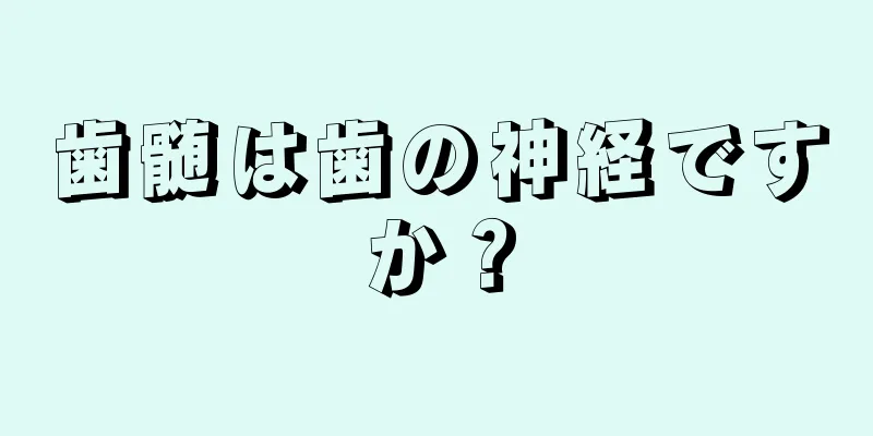 歯髄は歯の神経ですか？