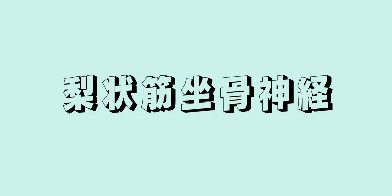 梨状筋坐骨神経