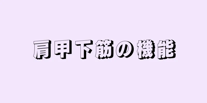 肩甲下筋の機能