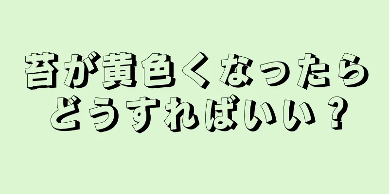 苔が黄色くなったらどうすればいい？