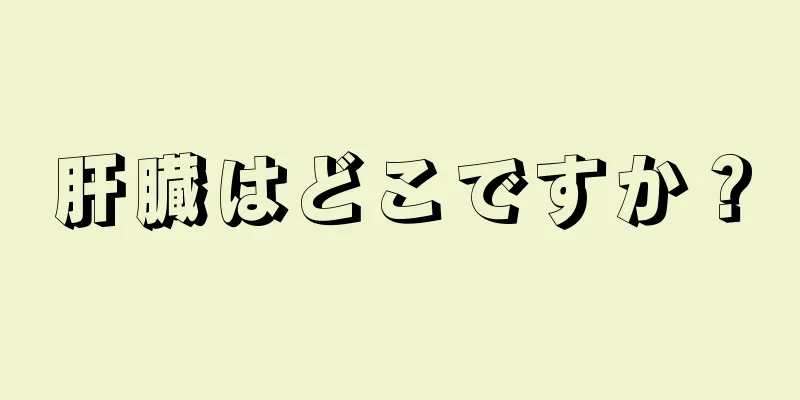 肝臓はどこですか？