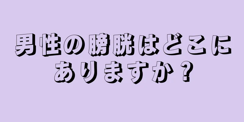 男性の膀胱はどこにありますか？