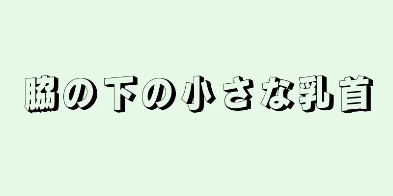 脇の下の小さな乳首