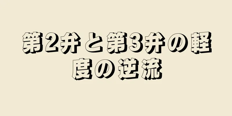 第2弁と第3弁の軽度の逆流