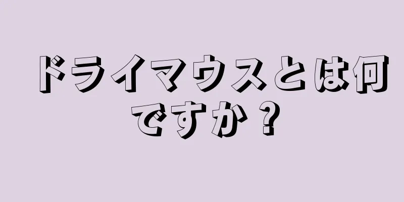 ドライマウスとは何ですか？