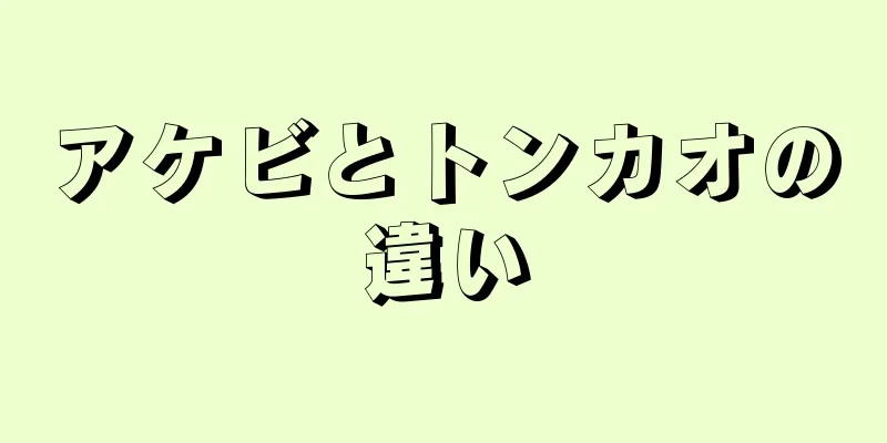 アケビとトンカオの違い