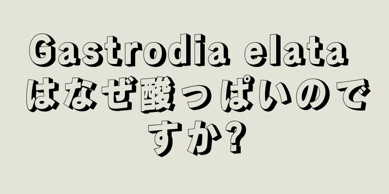 Gastrodia elata はなぜ酸っぱいのですか?