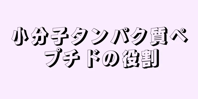 小分子タンパク質ペプチドの役割