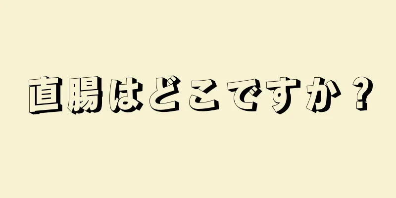 直腸はどこですか？