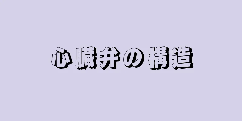 心臓弁の構造