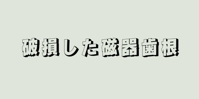 破損した磁器歯根