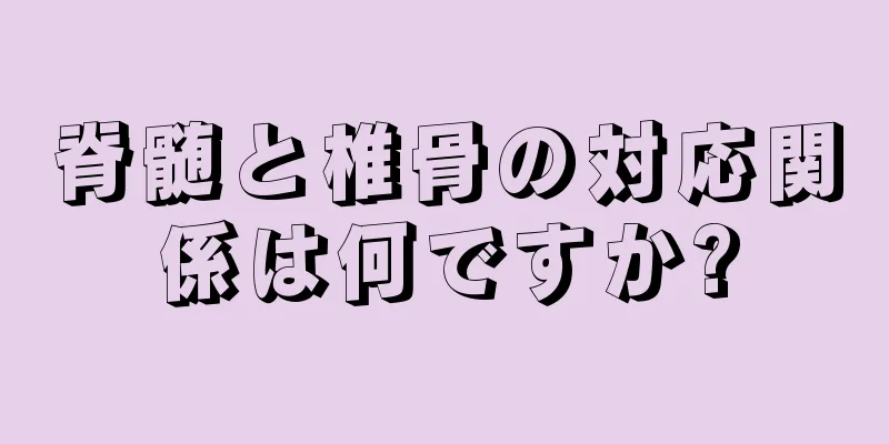 脊髄と椎骨の対応関係は何ですか?