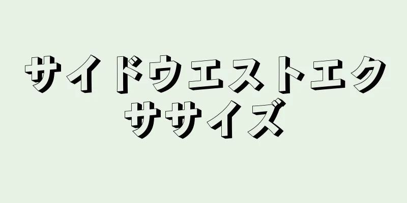 サイドウエストエクササイズ