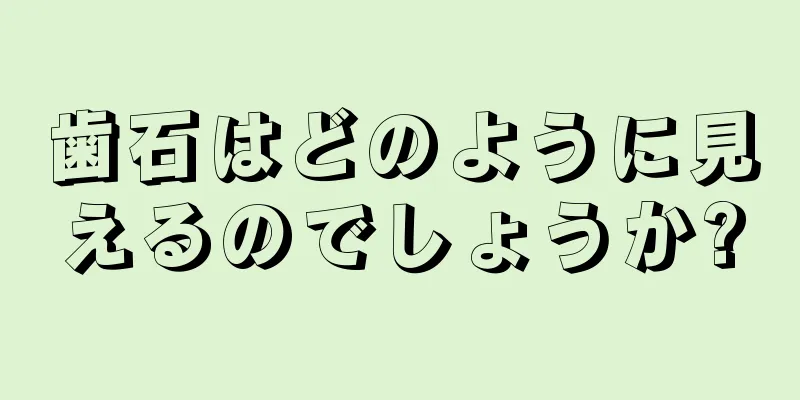 歯石はどのように見えるのでしょうか?