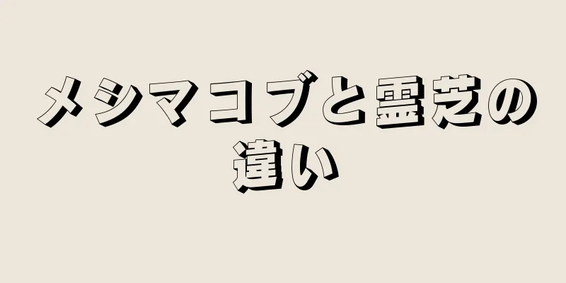 メシマコブと霊芝の違い