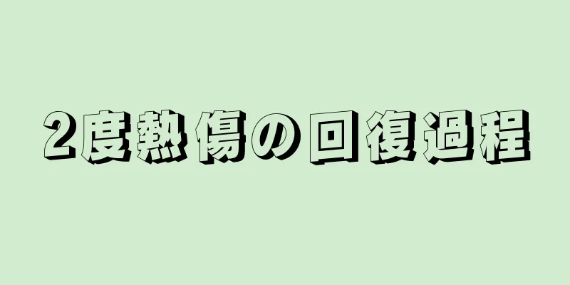 2度熱傷の回復過程