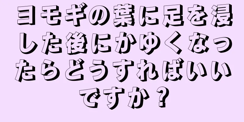 ヨモギの葉に足を浸した後にかゆくなったらどうすればいいですか？