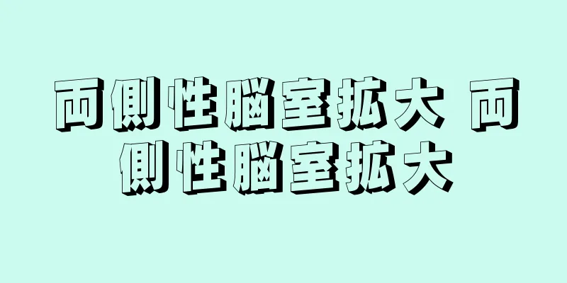 両側性脳室拡大 両側性脳室拡大