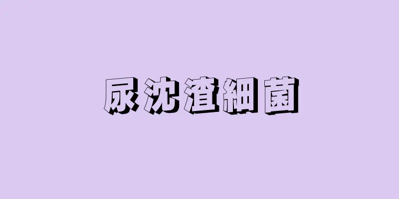 尿沈渣細菌