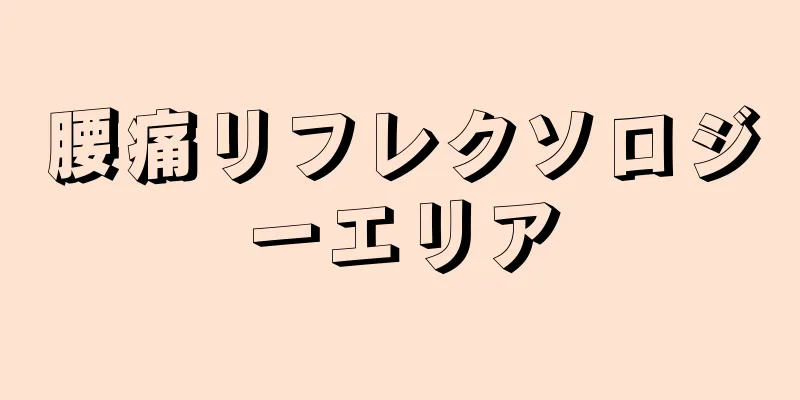 腰痛リフレクソロジーエリア