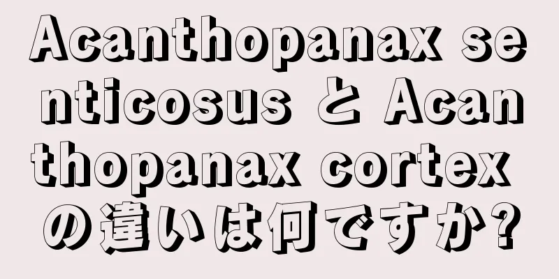 Acanthopanax senticosus と Acanthopanax cortex の違いは何ですか?