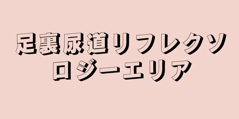 足裏尿道リフレクソロジーエリア