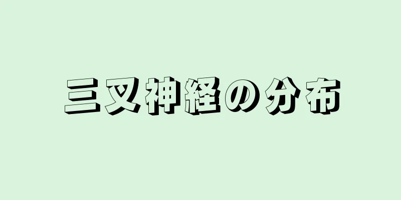 三叉神経の分布