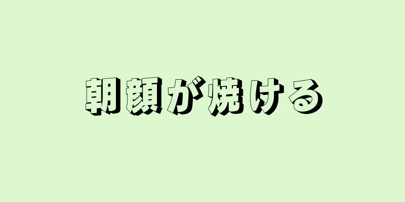 朝顔が焼ける