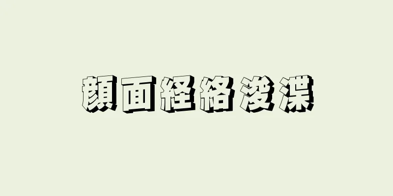 顔面経絡浚渫