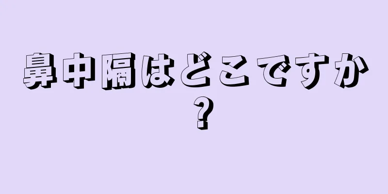 鼻中隔はどこですか？