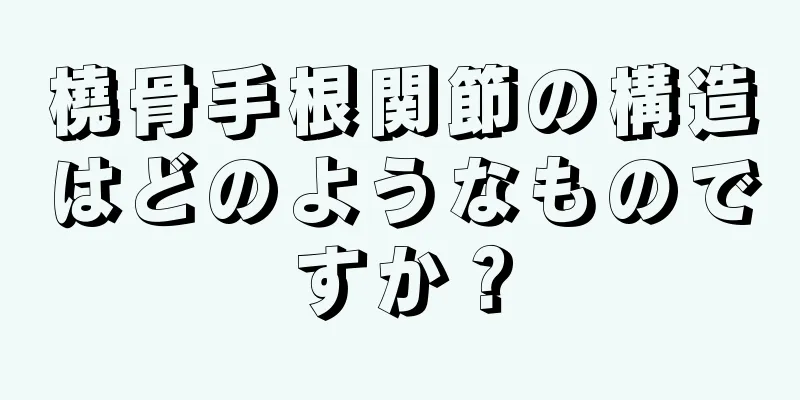 橈骨手根関節の構造はどのようなものですか？