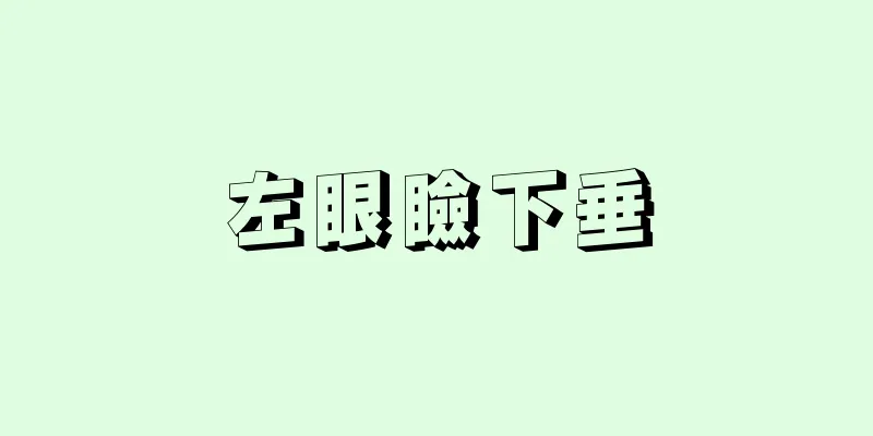 左眼瞼下垂