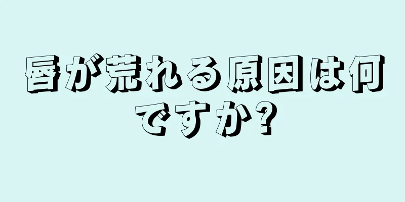 唇が荒れる原因は何ですか?