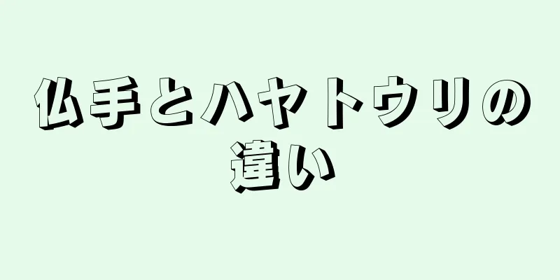 仏手とハヤトウリの違い