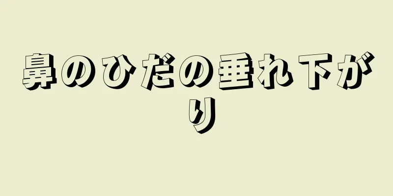 鼻のひだの垂れ下がり