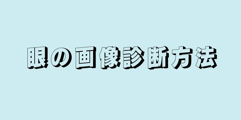 眼の画像診断方法