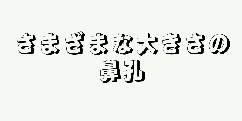 さまざまな大きさの鼻孔