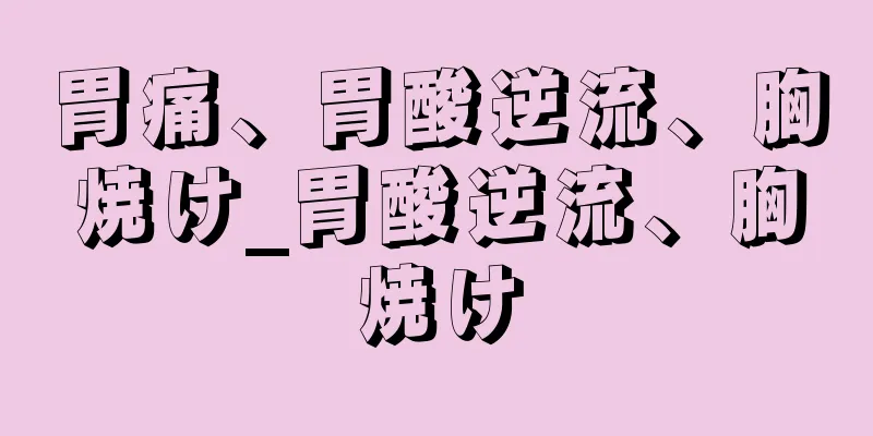 胃痛、胃酸逆流、胸焼け_胃酸逆流、胸焼け