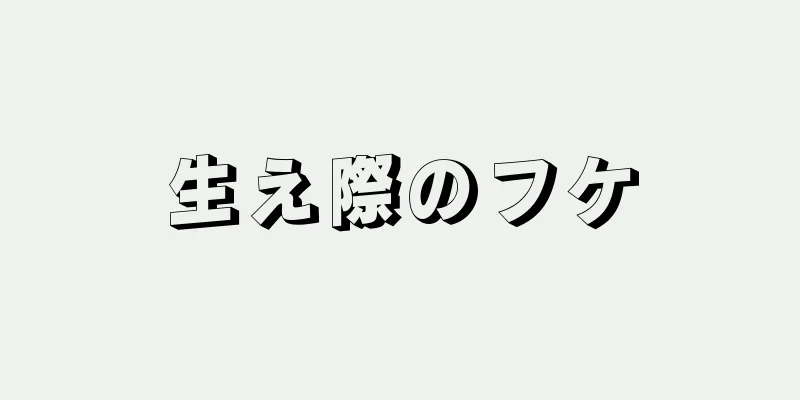 生え際のフケ