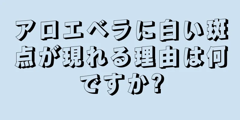 アロエベラに白い斑点が現れる理由は何ですか?