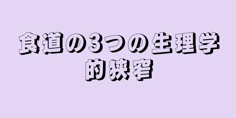 食道の3つの生理学的狭窄