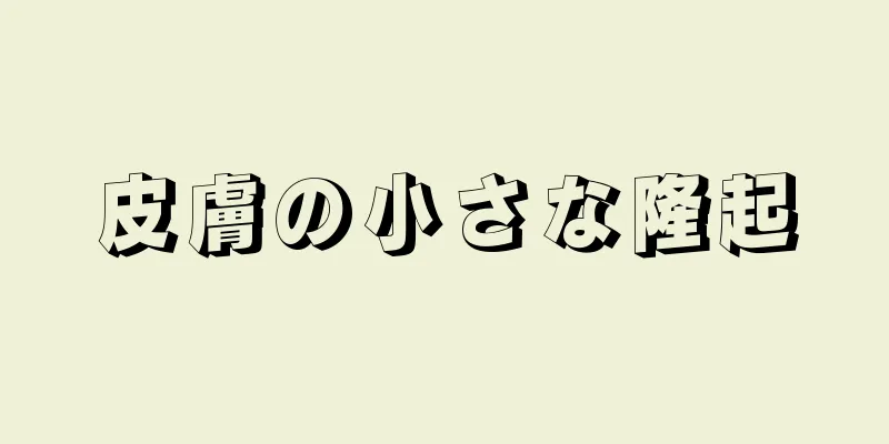 皮膚の小さな隆起