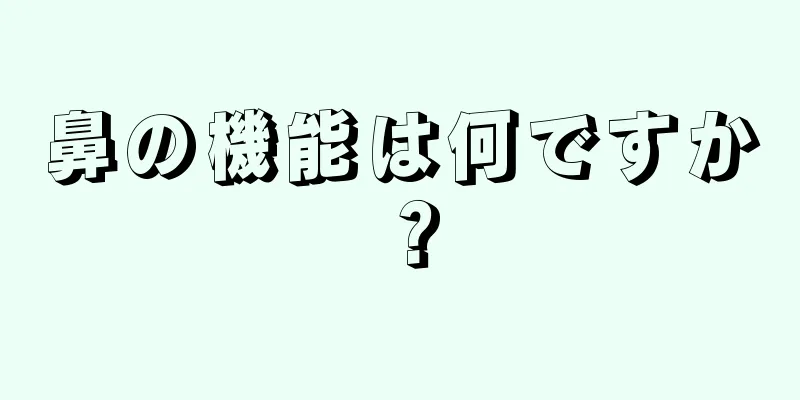 鼻の機能は何ですか？